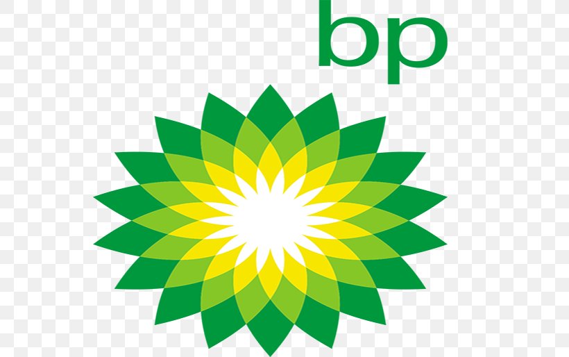 San Mateo New Richmond Freeport BP Petroleum, PNG, 767x514px, San Mateo, Big Oil, Business, Filling Station, Flower Download Free