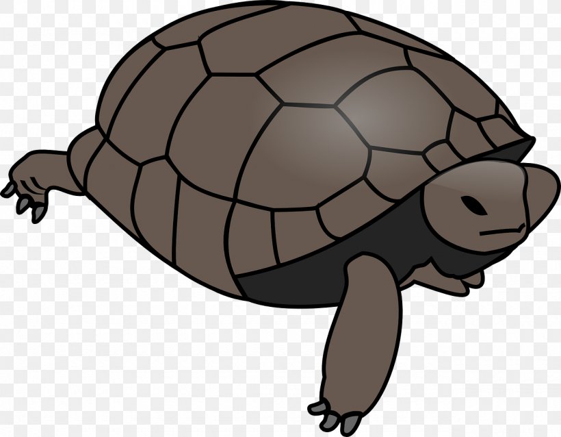 Turtle Clip Art Openclipart Vector Graphics Reptile, PNG, 1280x997px, Turtle, Box Turtles, Common Snapping Turtle, Eastern Box Turtle, Emydidae Download Free