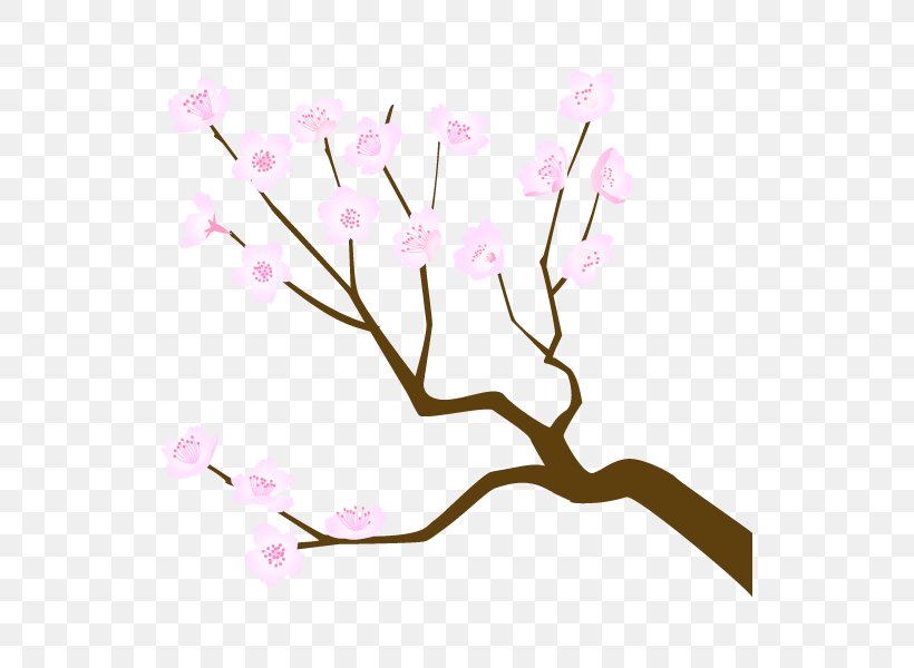Cherry Blossom Flower ST.AU.150 MIN.V.UNC.NR AD Floral Design, PNG, 600x600px, Cherry Blossom, Blossom, Branch, Cherries, Cut Flowers Download Free
