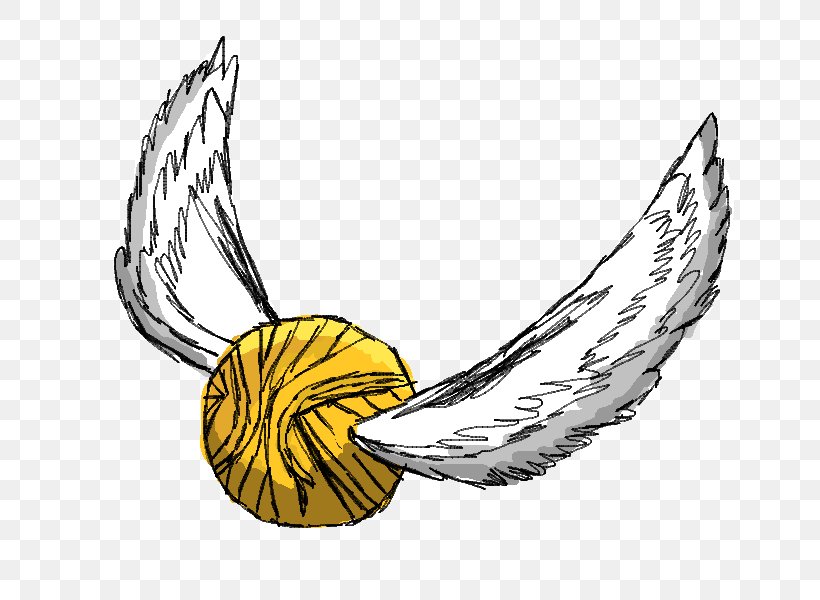 Harry Potter Quidditch Hogwarts Drawing Clip Art, PNG, 800x600px, Harry Potter, Art, Beak, Drawing, Fictional Character Download Free
