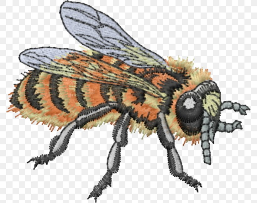 Honey Bee Beekeeping Information Machine Embroidery, PNG, 781x649px, Honey Bee, Arthropod, Bee, Beekeeper, Beekeeping Download Free