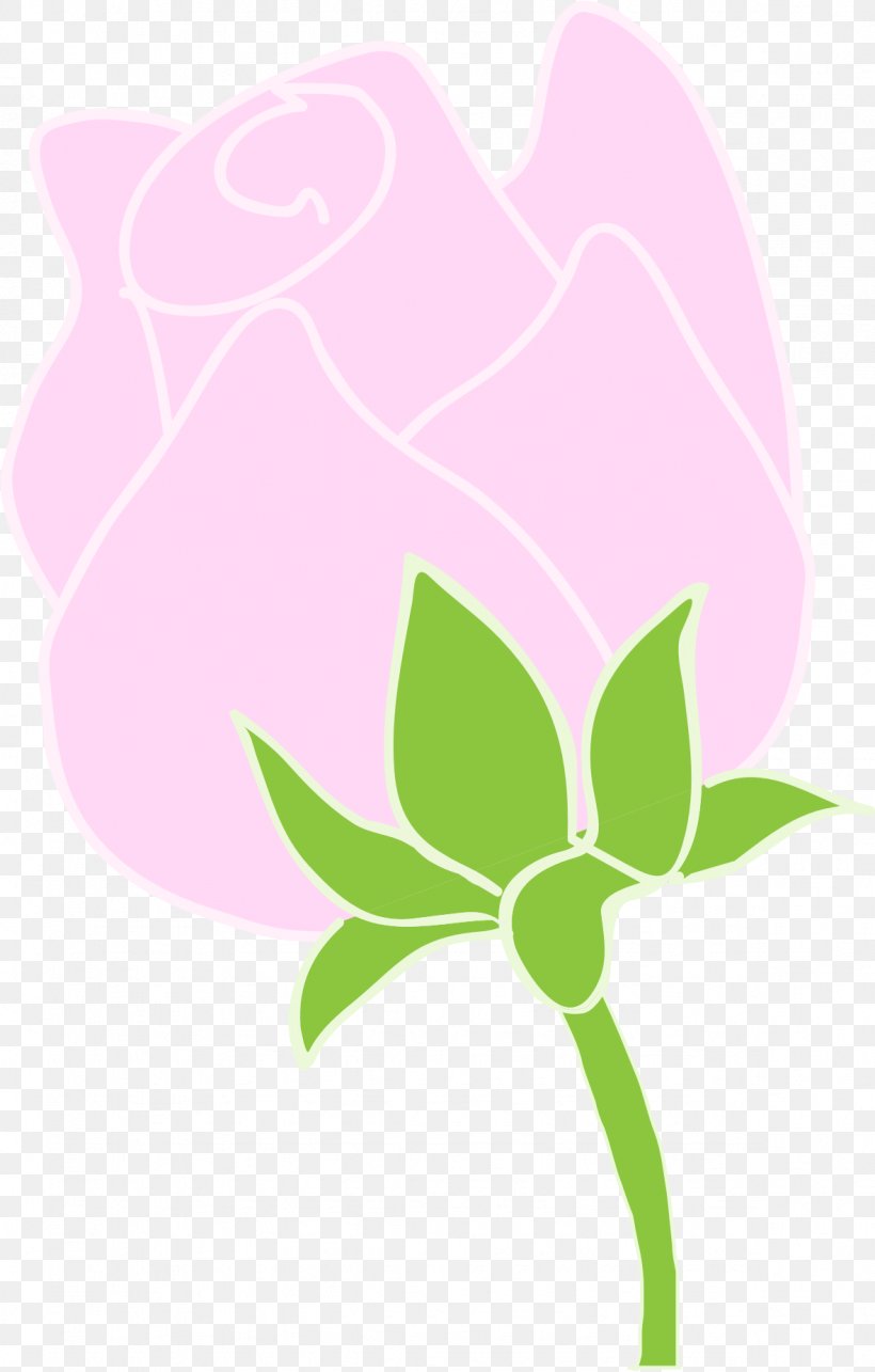 Rosaceae Floral Design Petal Clip Art, PNG, 1181x1852px, Rosaceae, Branch, Branching, Flora, Floral Design Download Free