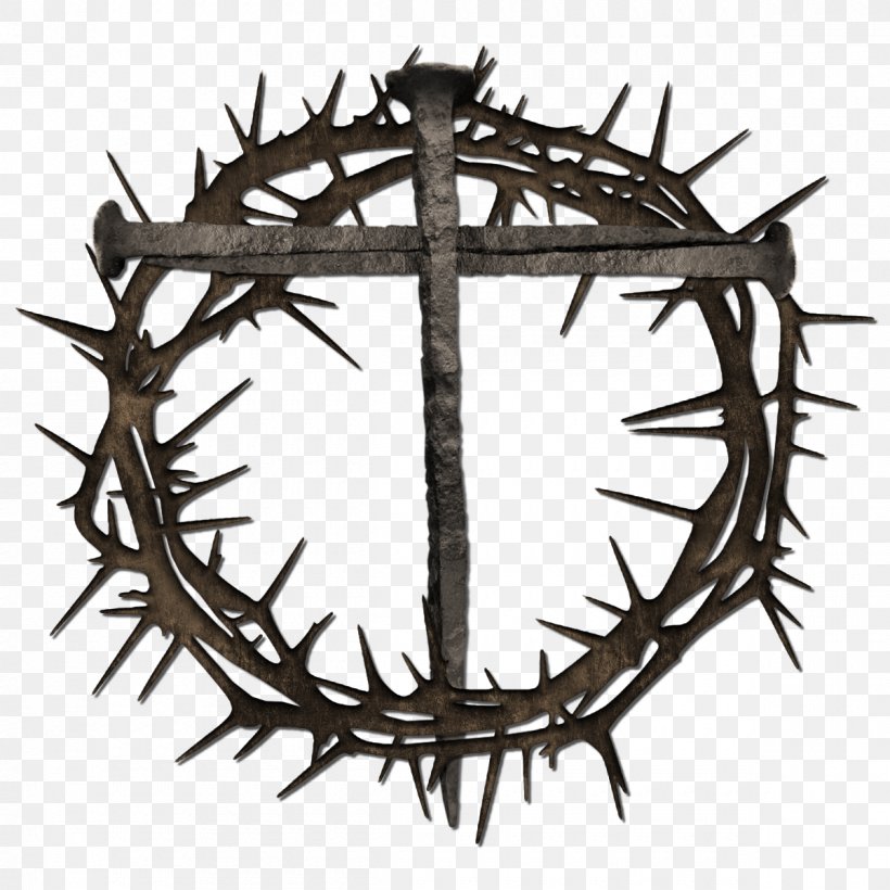 Crown Of Thorns Clip Art Image Cross And Crown, PNG, 1200x1200px, Crown Of Thorns, Antler, Branch, Christian Cross, Christianity Download Free