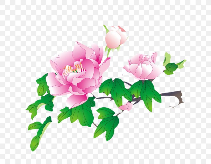 Moutan Peony Watercolor Painting Drawing, PNG, 640x640px, Moutan Peony, Artificial Flower, Blossom, Chinese Painting, Color Download Free