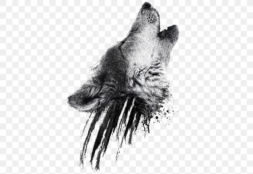 Gray Wolf Sleeve Tattoo Isaac Lahey Jack London, PNG, 564x564px, Snout, Beak, Black And White, Claw, Dog Like Mammal Download Free