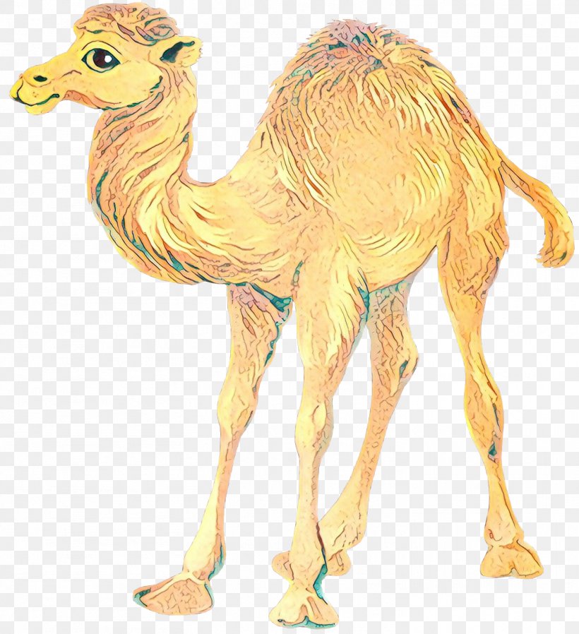 Bactrian Camel Dromedary Clip Art Drawing, PNG, 1461x1600px, Bactrian Camel, Animal Figure, Arabian Camel, Camel, Camel Train Download Free