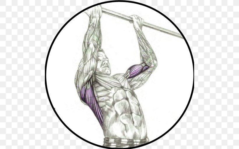 Chin-up Pull-up Muscle Exercise, PNG, 512x512px, Chinup, Anatomy, Arm, Biceps, Chin Download Free