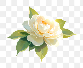 Elegant White Rose Illustration PNG