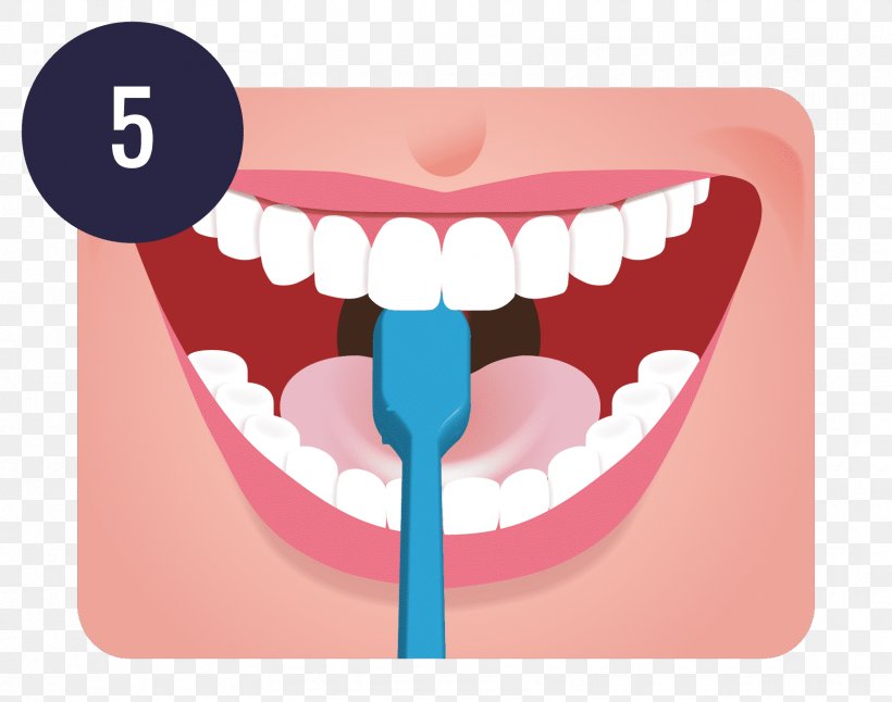 Tooth Brushing Dentistry Human Tooth Teeth Cleaning, PNG, 1710x1348px, Watercolor, Cartoon, Flower, Frame, Heart Download Free