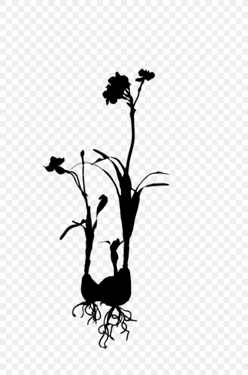 Twig Plant Stem Illustration Flower Clip Art, PNG, 1600x2416px, Twig, Black M, Blackandwhite, Botany, Computer Download Free