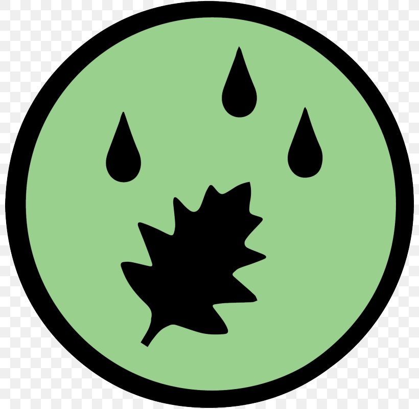 Plant Stem Leaf Logo Clip Art, PNG, 800x800px, Plant Stem, County, Grass, Green, Leaf Download Free