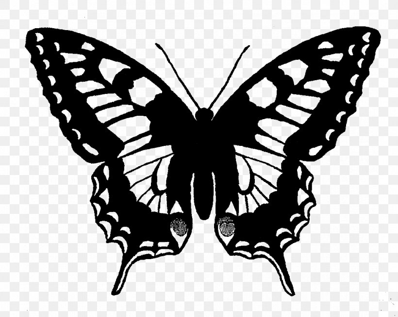 Swallowtail Butterfly Papilio Machaon Clip Art, PNG, 1073x854px, Butterfly, Arthropod, Black And White, Brush Footed Butterfly, Drawing Download Free