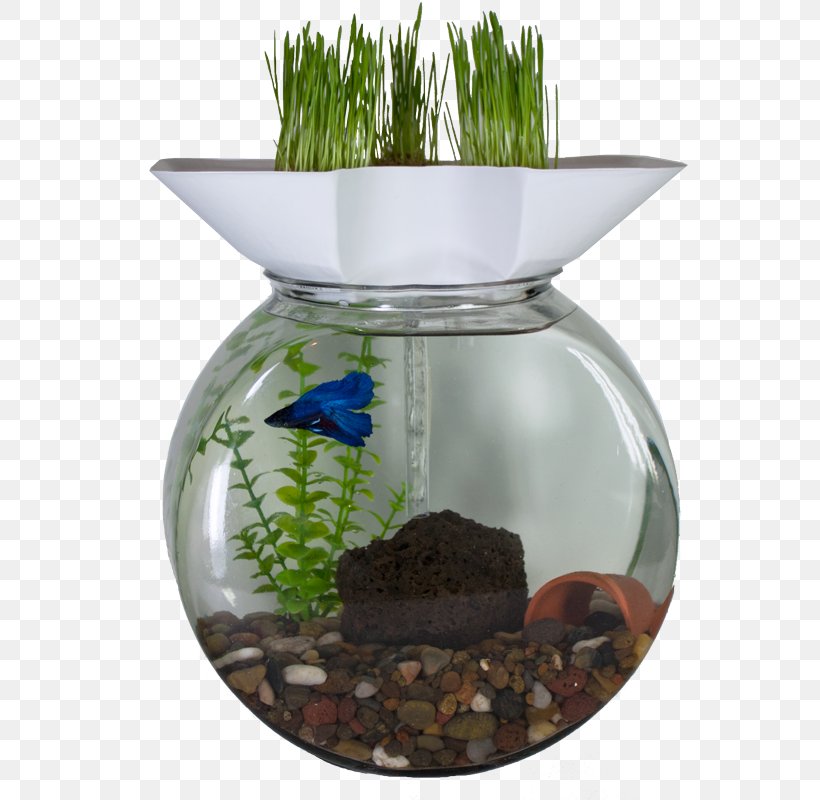 Water Filter Aquaponics Aquarium Filters Aquaculture, PNG, 800x800px, Water Filter, Agriculture, Aquaculture, Aquaponics, Aquarium Download Free