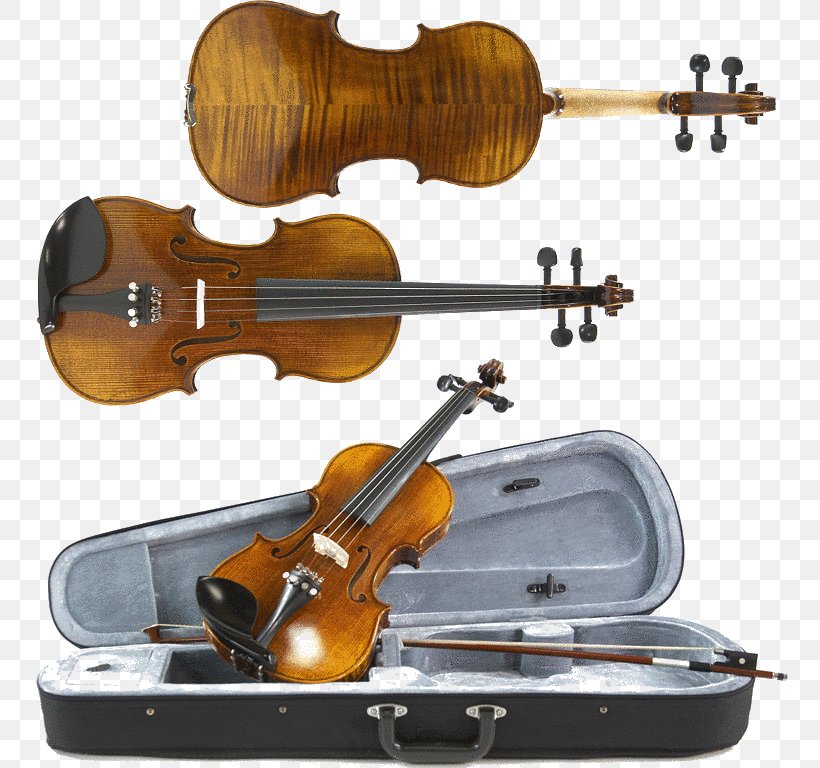Bass Violin Violone Viola Fiddle, PNG, 768x768px, Bass Violin, Acoustic Electric Guitar, Acoustic Guitar, Acousticelectric Guitar, Bass Guitar Download Free