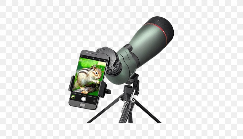 Birdwatching Spotting Scopes Hunting Outdoor Recreation, PNG, 848x487px, Bird, Bird Feeders, Birdwatching, Camera Accessory, Digiscoping Download Free