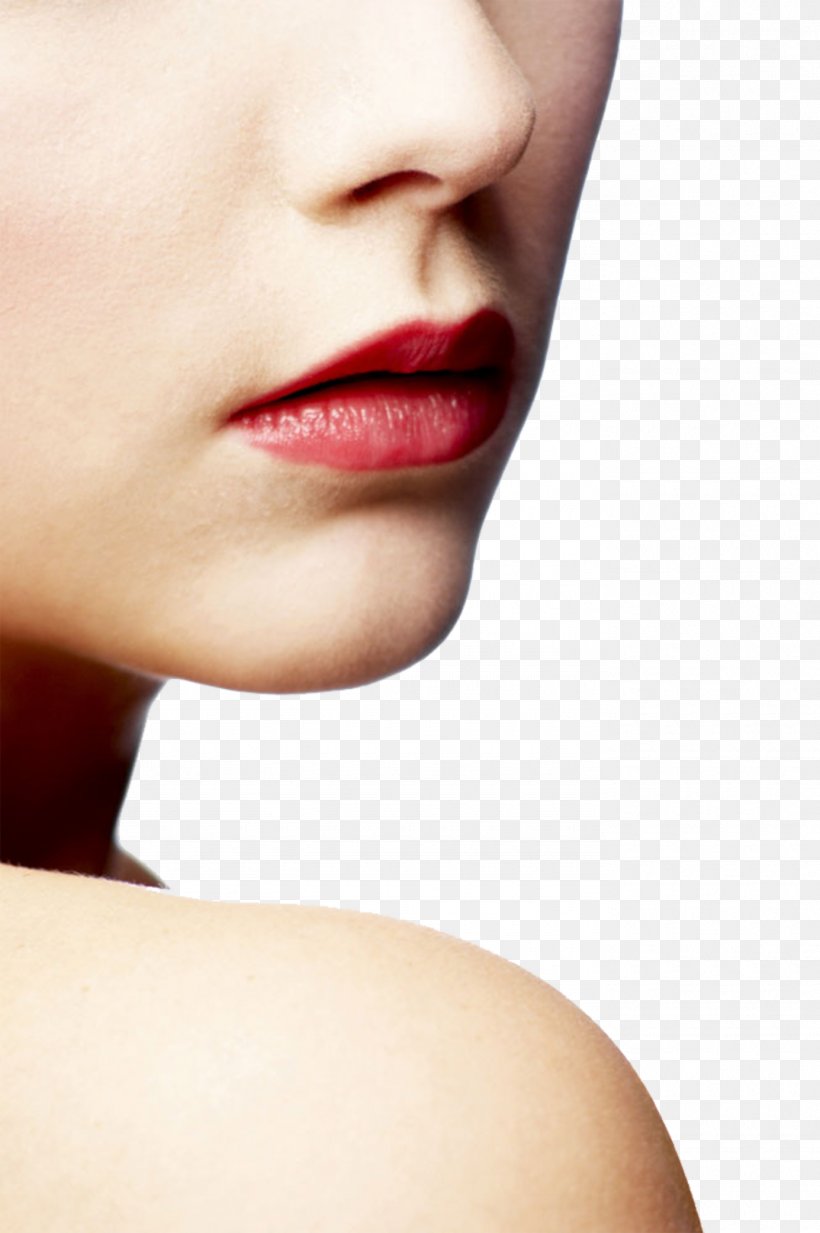 Lip Close-up Face Clip Art, PNG, 1385x2083px, Lip, Beauty, Cdr, Cheek, Chin Download Free