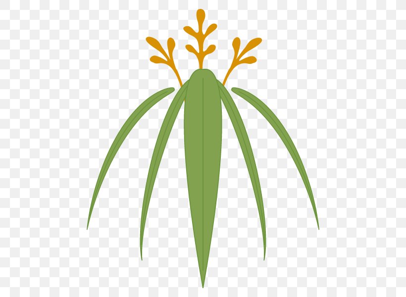 Palm Trees Plant Stem Grasses Leaf Flower, PNG, 600x600px, Palm Trees, Arecales, Flower, Flowering Plant, Flowerpot Download Free