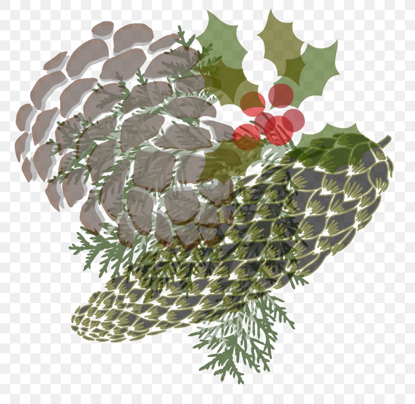 Spruce Christmas Ornament, PNG, 800x800px, Spruce, Christmas, Christmas Ornament, Conifer, Fir Download Free