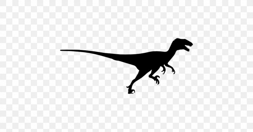 Velociraptor Tyrannosaurus Dinosaur Jewellery Black, PNG, 1200x630px, Velociraptor, Black, Black And White, Charms Pendants, Dinosaur Download Free