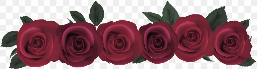 Garden Roses, PNG, 2169x582px, Garden Roses, Cut Flowers, Floral Design, Floribunda, Flower Download Free