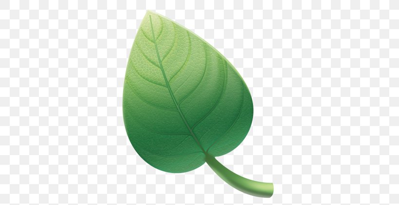 Green Leaf, PNG, 634x423px, Green, Leaf, Plant Download Free