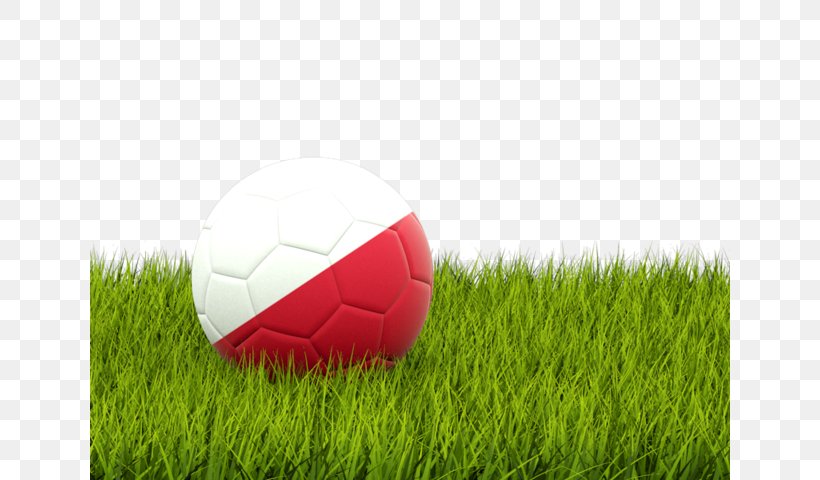 Spain National Football Team English Football League Albania National Football Team Spain National Under-19 Football Team, PNG, 640x480px, Spain, Albania National Football Team, Artificial Turf, Ball, English Football League Download Free