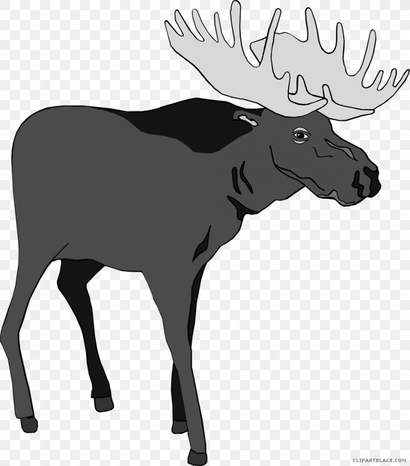 Bullwinkle J. Moose Borders Clip Art Animal Silhouettes, PNG, 958x1089px, Moose, Animal Silhouettes, Antler, Black And White, Borders Clip Art Download Free