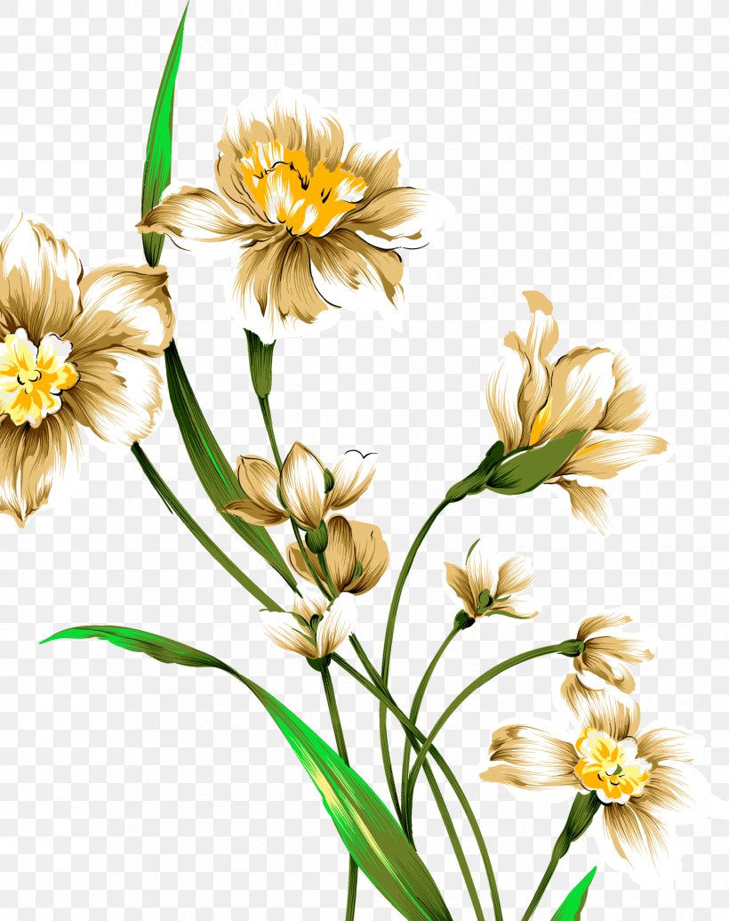 Narcissus Tazetta Drawing Watercolor Painting Download, PNG, 1704x2152px, Narcissus Tazetta, Art, Botanical Illustration, Cut Flowers, Daffodil Download Free