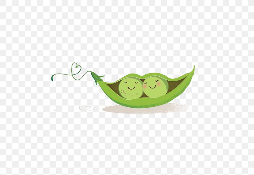 Snow Pea Bean Clip Art, PNG, 564x564px, Pea, Bean, Chickpea, Child, Cuteness Download Free