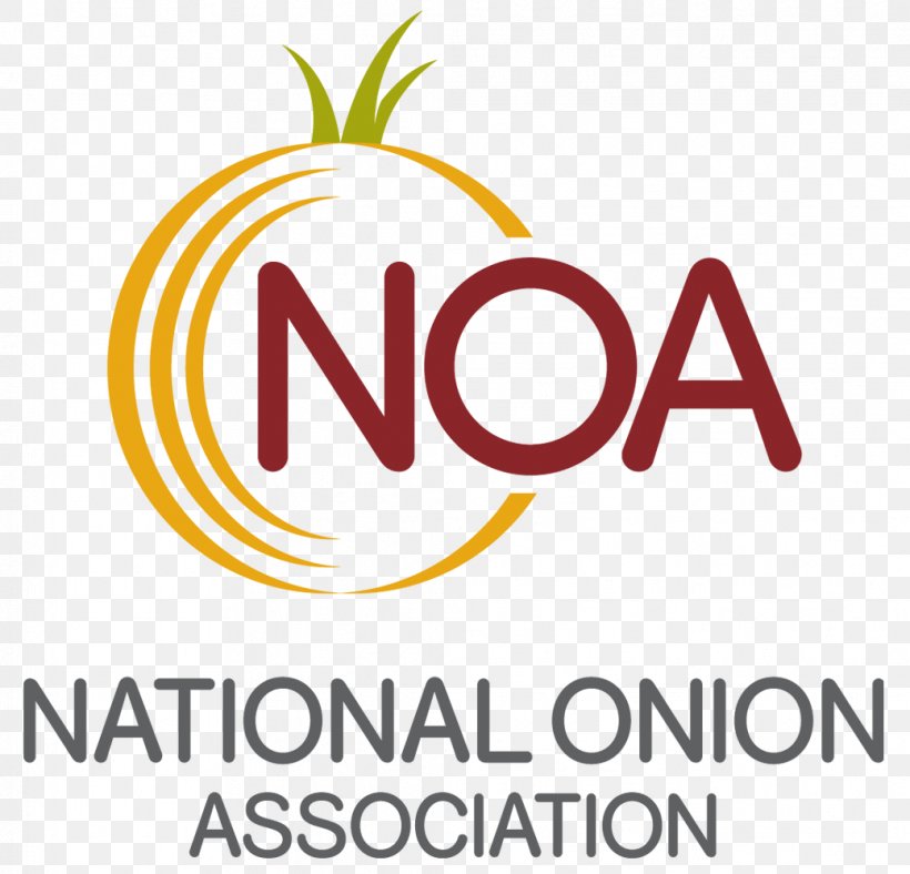 Cheese And Onion Pie National Onion Association Quiche Cooking Potato Onion, PNG, 1039x999px, Cheese And Onion Pie, Agriculture, Area, Brand, Company Download Free