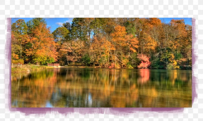 Fuller Lake Mountain Creek Cumberland Valley Appalachian National Scenic Trail Carlisle, PNG, 1349x808px, Fuller Lake, Appalachian National Scenic Trail, Autumn, Bank, Bayou Download Free