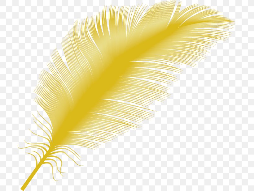 Yellow Feather Close-up, PNG, 705x618px, Yellow, Closeup, Feather, Quill, Wing Download Free