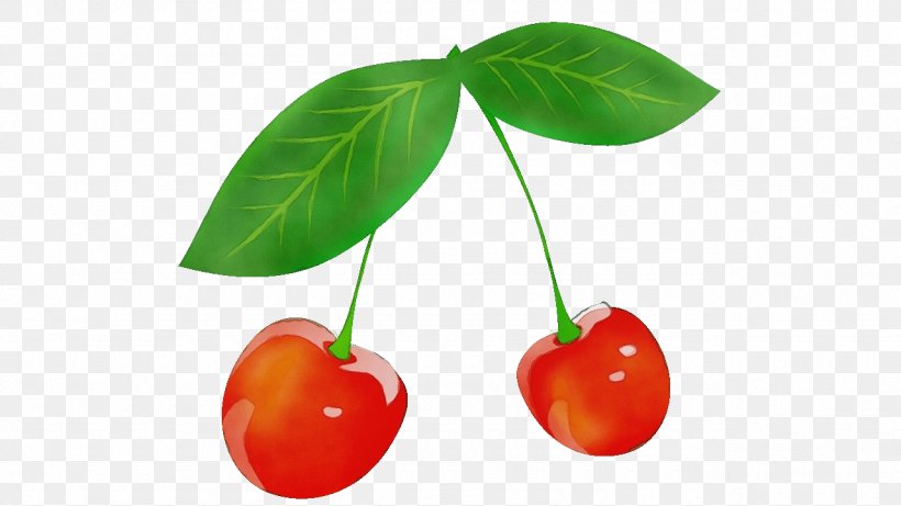 Cherry Plant Fruit Leaf Flower, PNG, 1280x720px, Watercolor, Acerola, Cherry, Flower, Food Download Free