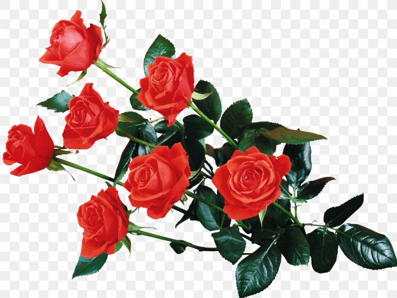 Flower Rose Desktop Wallpaper Clip Art, PNG, 1280x962px, Flower, Artificial Flower, Cut Flowers, Display Resolution, Floral Design Download Free