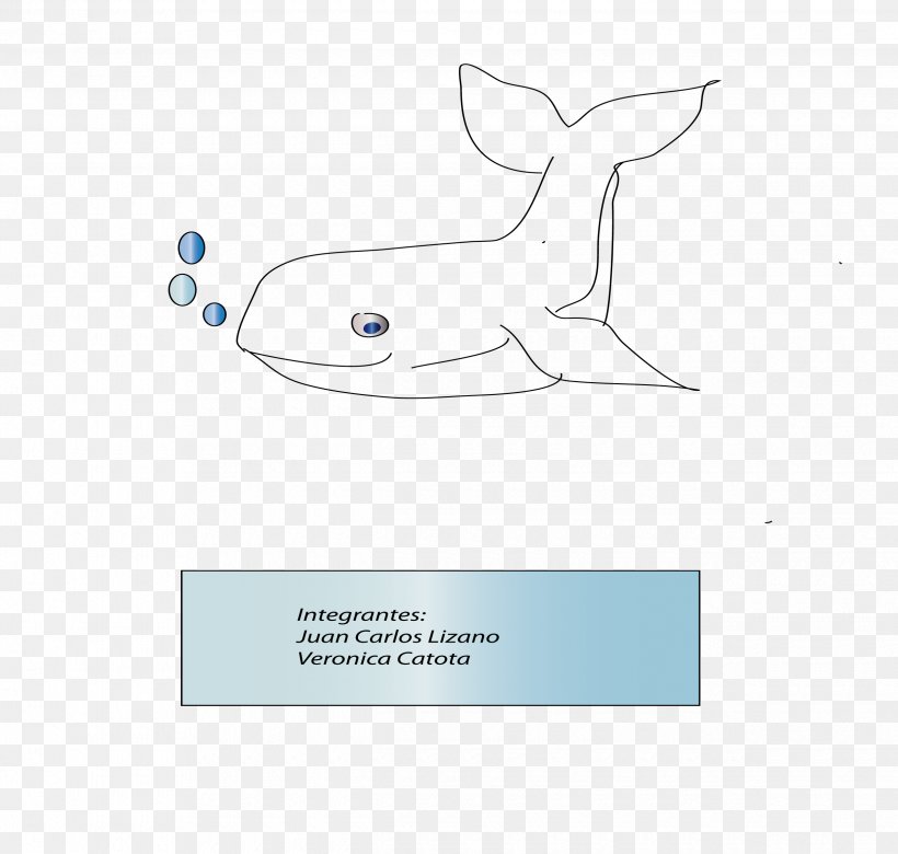 Paper Marine Mammal Logo Product Design, PNG, 2480x2362px, Paper, Area, Brand, Cartoon, Diagram Download Free