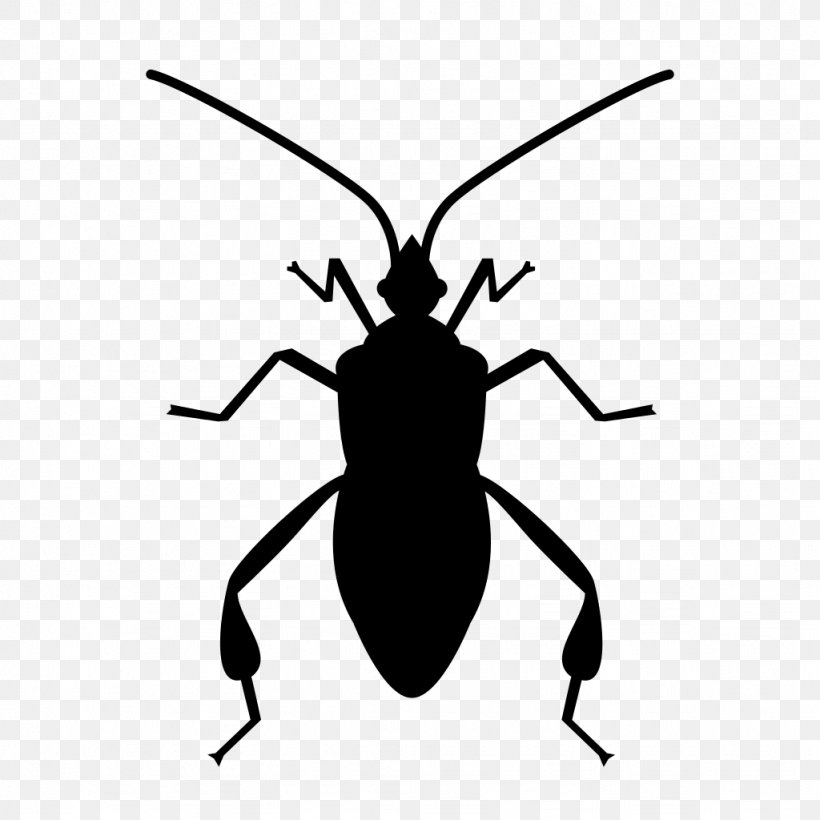 Software Bug Insect, PNG, 1024x1024px, Software Bug, Arthropod, Beetle, Black And White, Computer Configuration Download Free