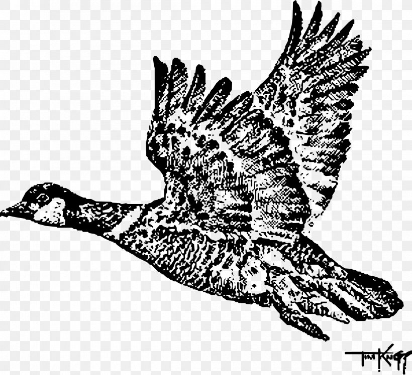 Swan Goose Bird Canada Goose Duck, PNG, 2400x2191px, Goose, Aleutian Cackling Goose, Animal Flight, Art, Barnacle Goose Download Free