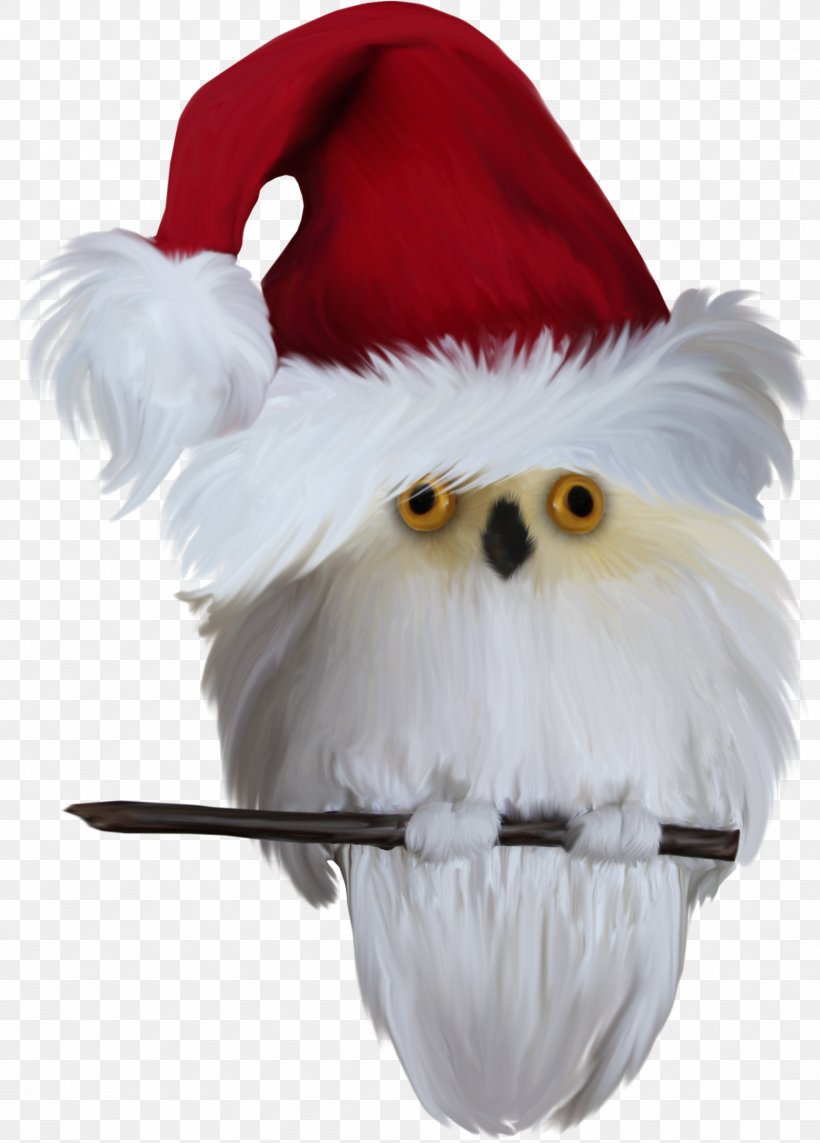 Bird Owl Santa Claus Clip Art, PNG, 1706x2379px, Bird, Animal, Beak, Christmas, Christmas Ornament Download Free