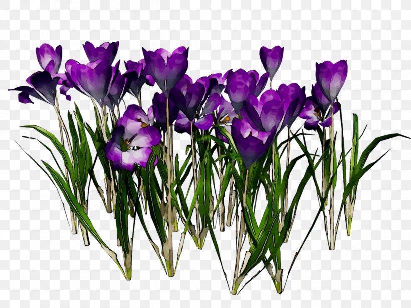 Crocus Floral Design Cut Flowers Flower Bouquet, PNG, 1208x906px, Crocus, Artificial Flower, Botany, Cut Flowers, Floral Design Download Free