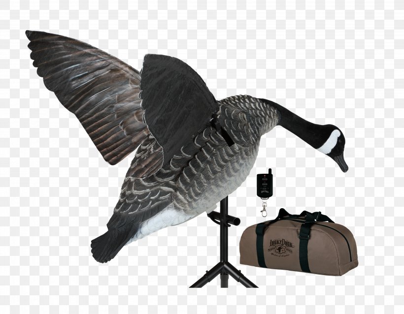 Duck Decoy Goose Mallard Waterfowl Hunting, PNG, 4402x3426px, Duck, Beak, Bird, Canada Goose, Decoy Download Free