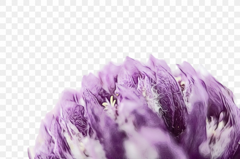 Lavender, PNG, 1280x853px, Watercolor, Closeup, Flower, Lavender, Lilac M Download Free