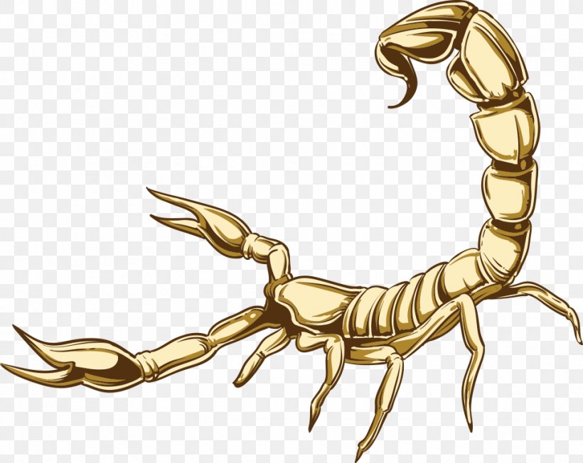 Scorpion Cartoon Illustration, PNG, 963x766px, Scorpion, Animal, Arachnid, Arthropod, Brass Download Free