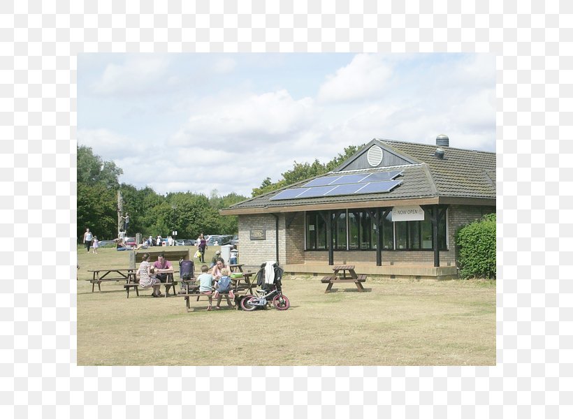 Shade Roof Property Canopy Tree, PNG, 600x600px, Shade, Canopy, Grass, Home, Land Lot Download Free