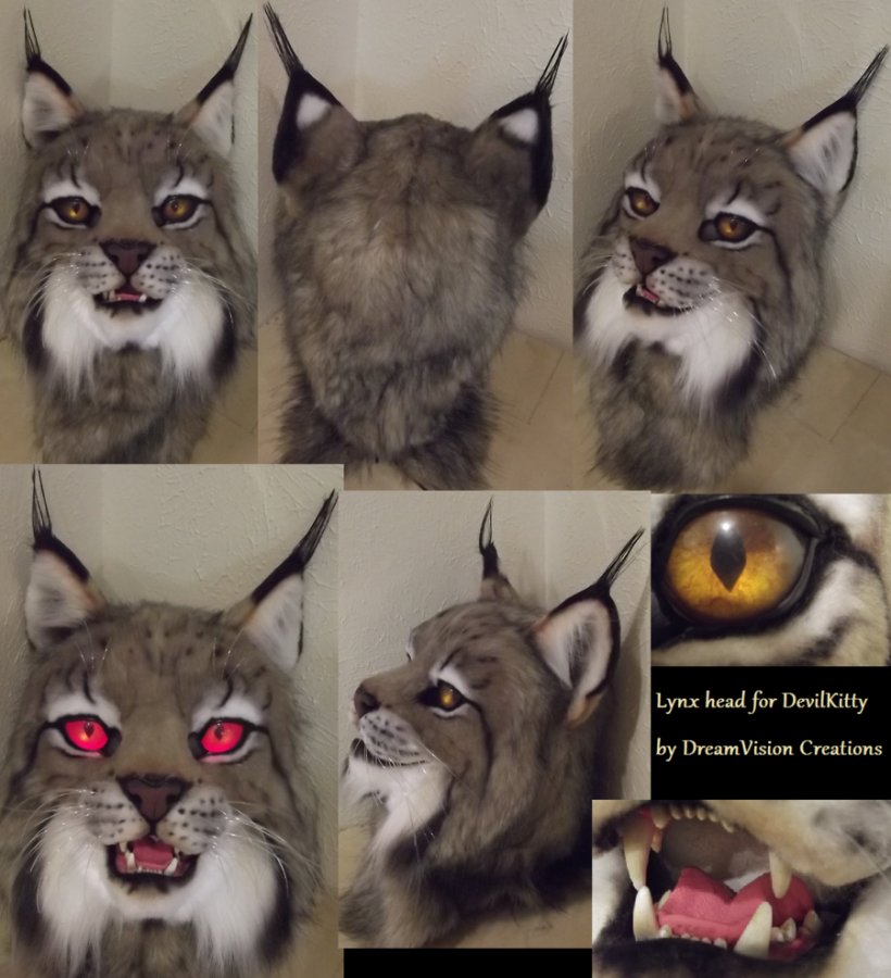 Canada Lynx Fursuit Felidae Costume, PNG, 900x988px, Canada Lynx, Animal, Bobcat, Canada, Carnivoran Download Free