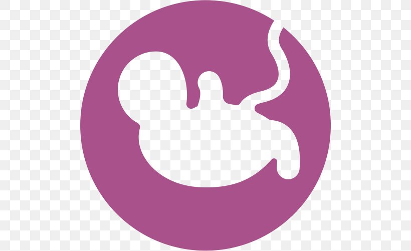 Clip Art Clearblue Pregnancy Test, PNG, 500x501px, Uterus, Child, Clearblue, Egg Cell, Egg Donation Download Free
