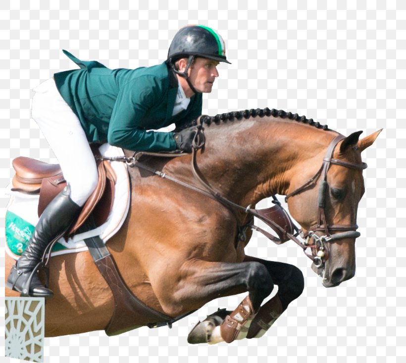 Horse FEI World Equestrian Games Show Jumping English Riding, PNG, 800x734px, Horse, Animal Sports, Animal Training, Bit, Bridle Download Free