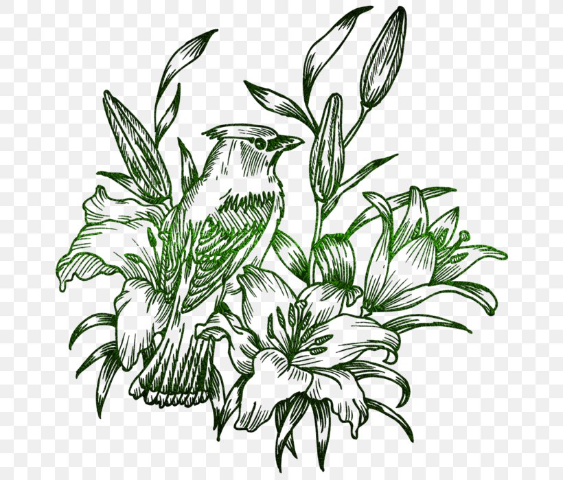 Bird-and-flower Painting Drawing, PNG, 661x699px, Flower, Art, Birdandflower Painting, Black And White, Branch Download Free