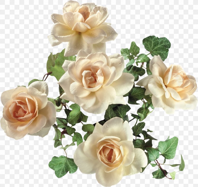 Garden Roses Flower Beach Rose, PNG, 1024x966px, Garden Roses, Artificial Flower, Beach Rose, Blog, Cut Flowers Download Free