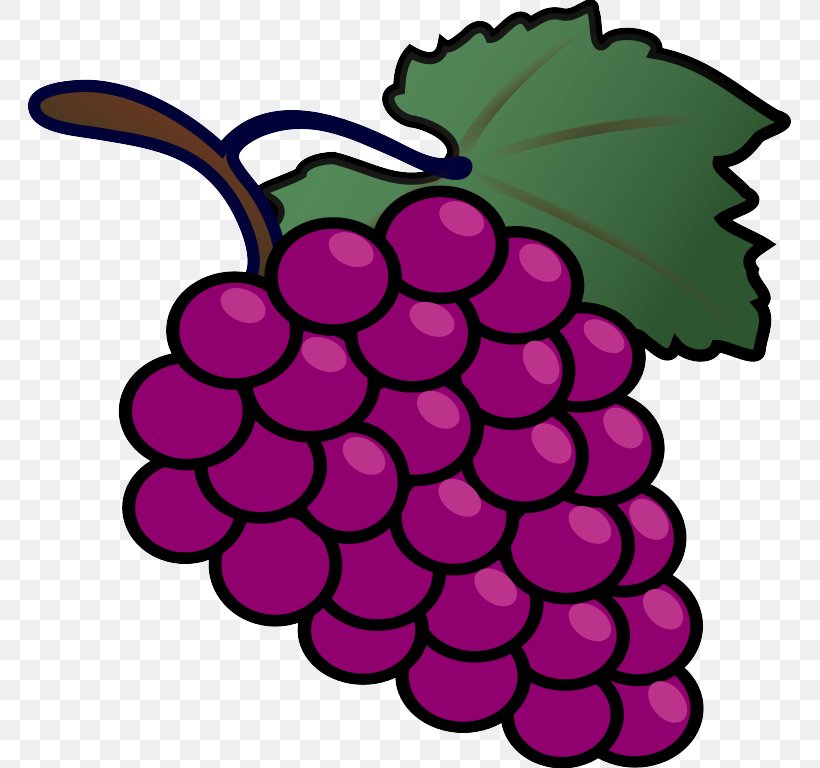 Grape Seedless Fruit Grapevine Family Fruit Clip Art, PNG, 764x768px, Grape, Berry, Blackberry, Fruit, Grapevine Family Download Free