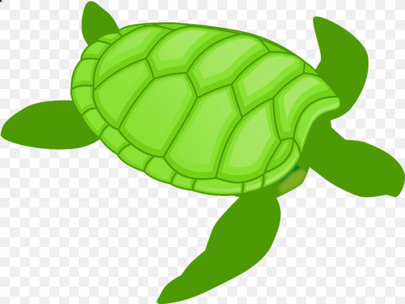 Green Sea Turtle Clip Art, PNG, 960x720px, Turtle, Animal, Artwork, Cartoon, Drawing Download Free